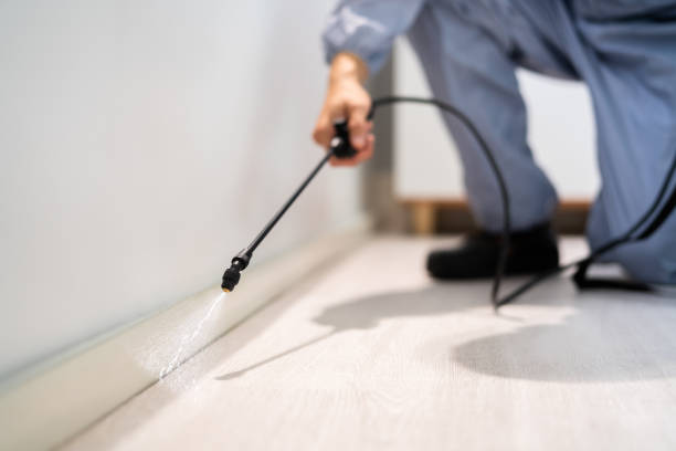 Licensed Cockroach Control service in Sycamore, IL - Nex Pest Control