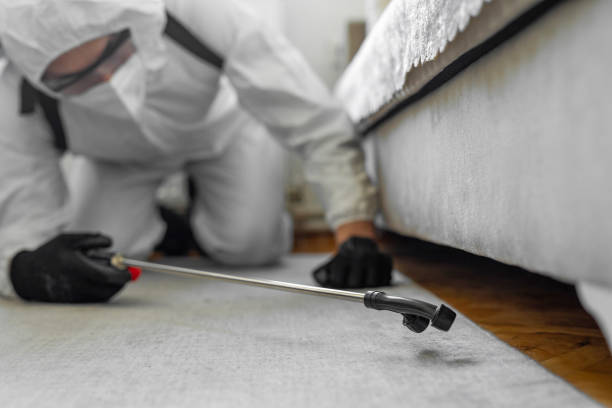Professional Cockroach Control technician working in Sycamore, IL