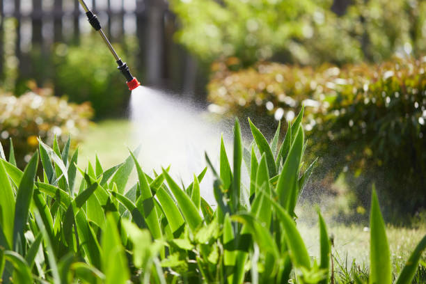 24/7 Emergency Cockroach Control experts in Sycamore, IL