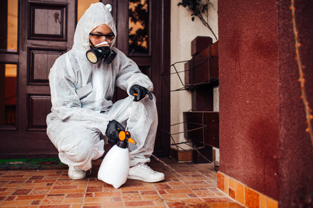Reliable Cockroach Control contractor in Sycamore, IL by Nex Pest Control